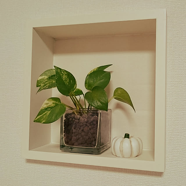 tonchiさんの実例写真