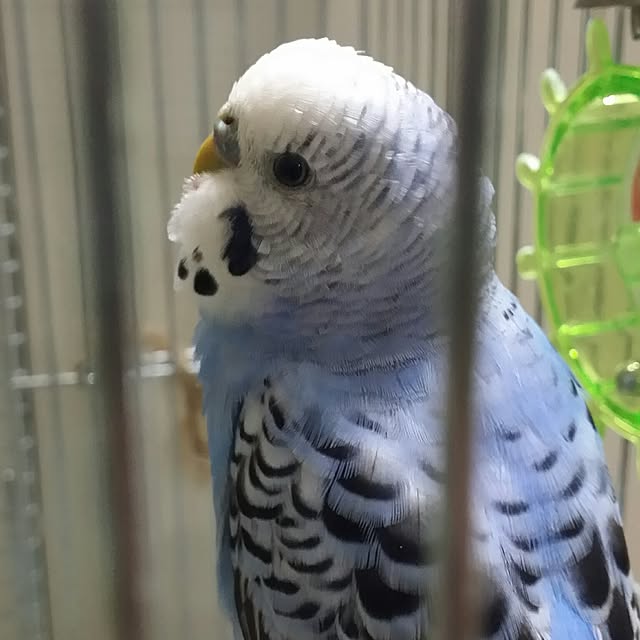 karinさんの実例写真