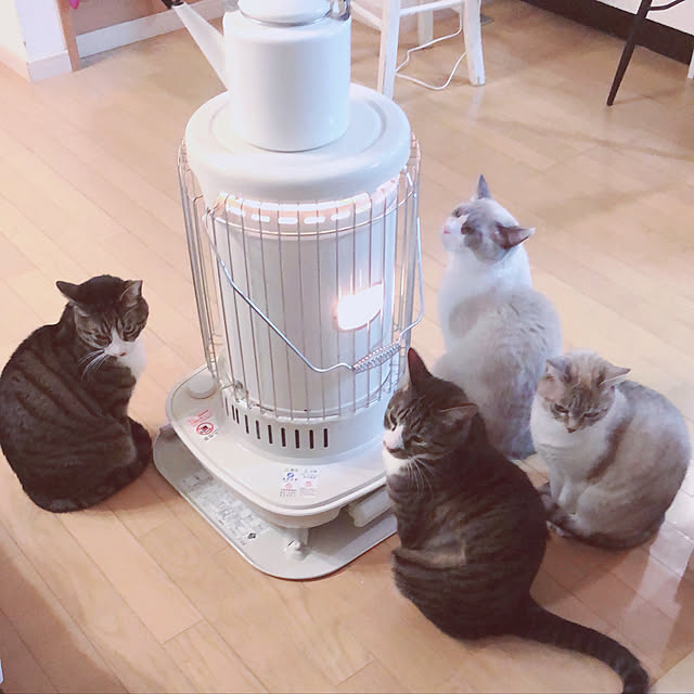 milkcocoaさんの実例写真