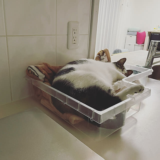 hemukoさんの実例写真