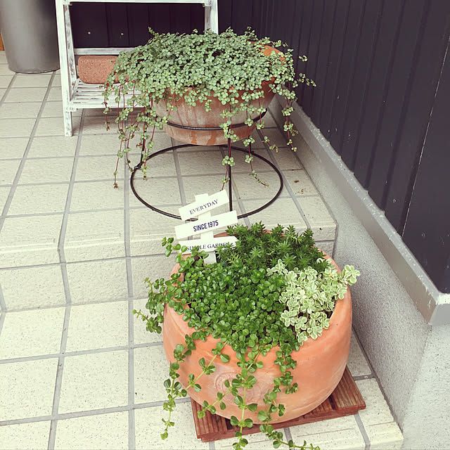 75nanameiさんの実例写真