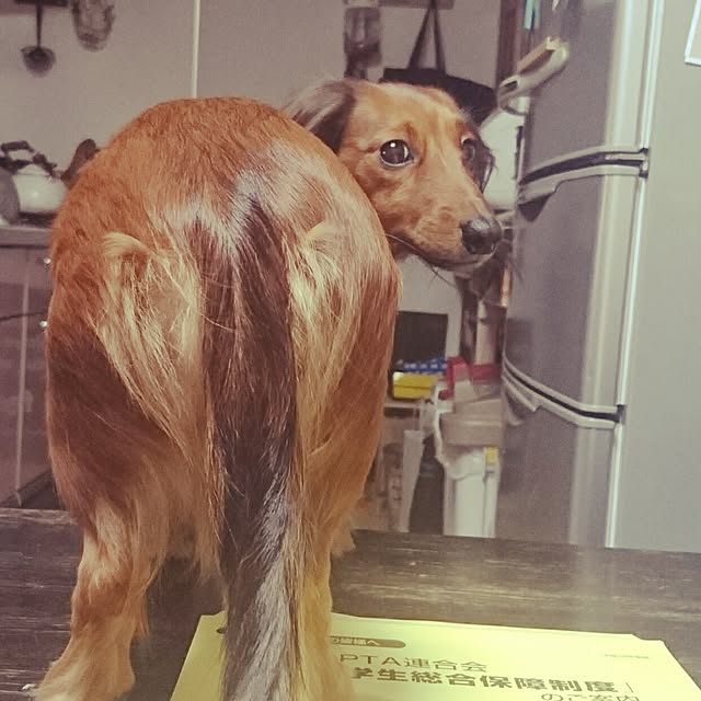 andさんの実例写真