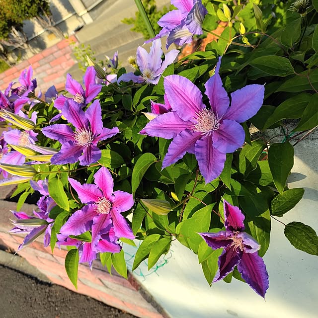 kiraさんの部屋