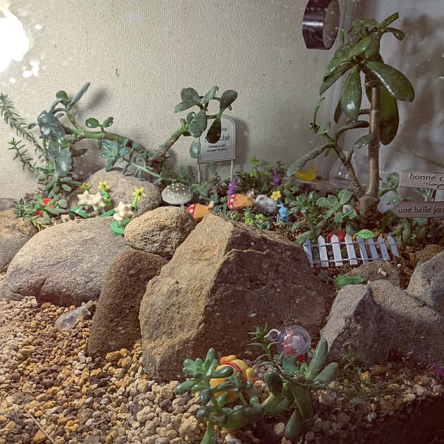 umeboshicyanさんの部屋