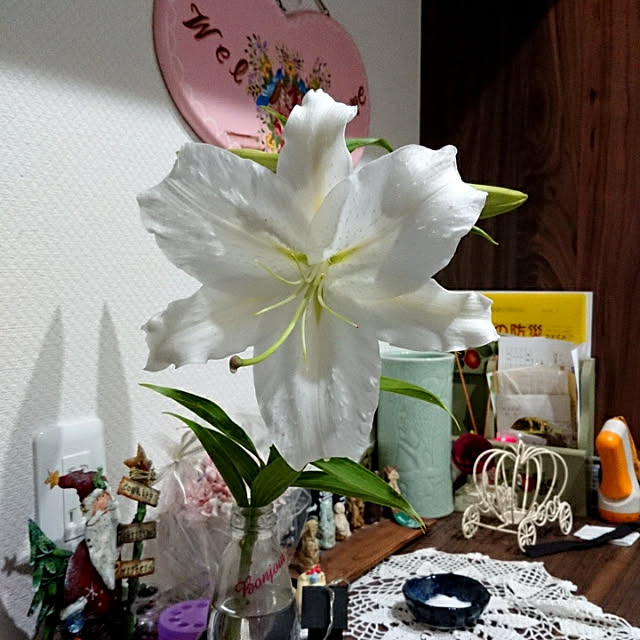 noriさんの実例写真