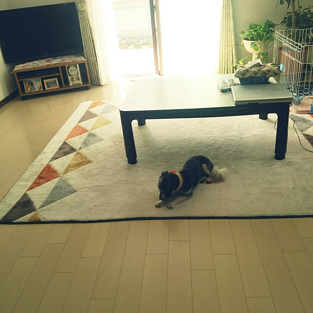hitomiさんの実例写真