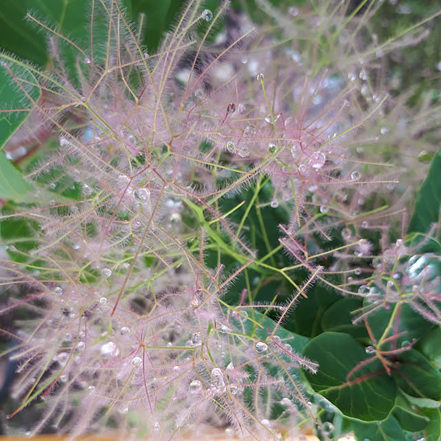 min_nimさんの実例写真