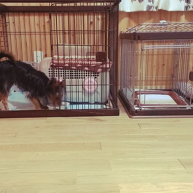 ripunderlineno5さんの実例写真