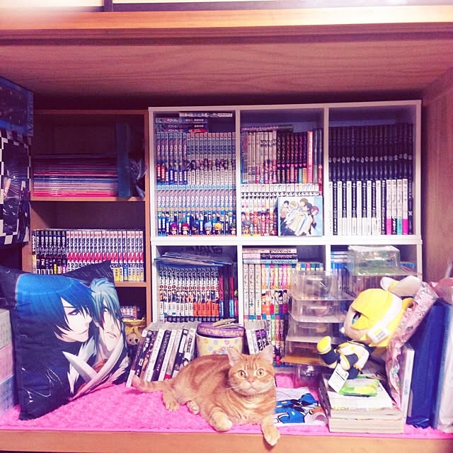sotaさんの実例写真