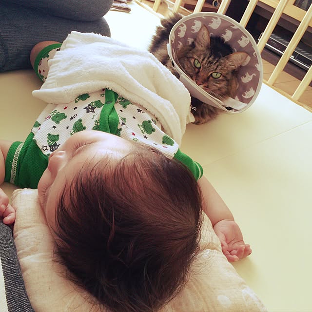 yuki0511さんの実例写真