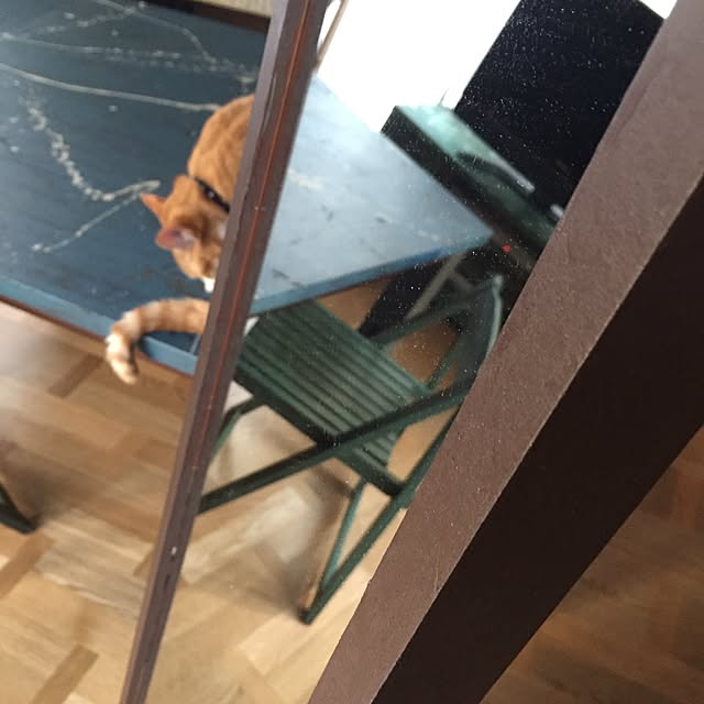 Matsuriさんの実例写真