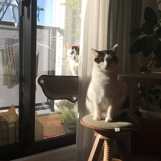 hanaさんの実例写真