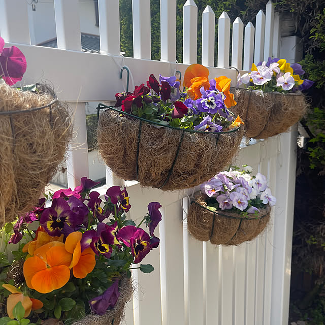 chikaさんの実例写真