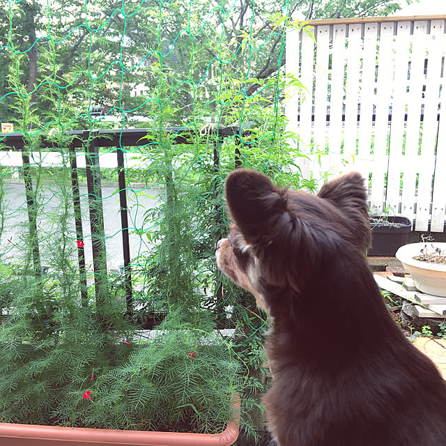 takaさんの実例写真