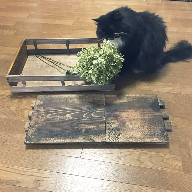 mucc08さんの実例写真