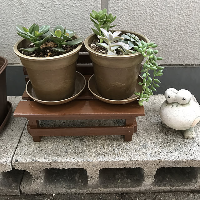 rinrinさんの実例写真