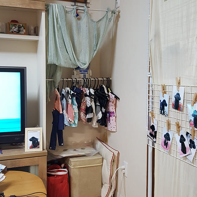 mikan.705さんの実例写真