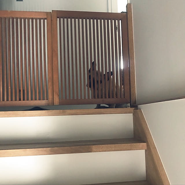 goo.mさんの実例写真