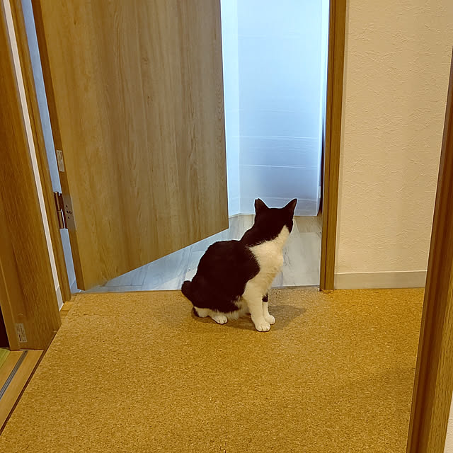 hihaさんの実例写真