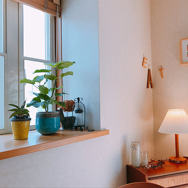 棚/観葉植物/北欧家具/北欧ヴィンテージ/北欧インテリア...などのインテリア実例 - 2018-04-11 22:05:34