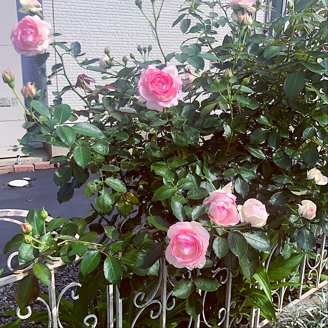 tomoさんの部屋