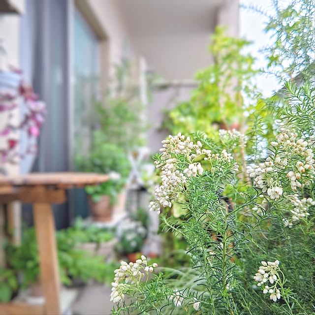 YuriYuriさんの部屋