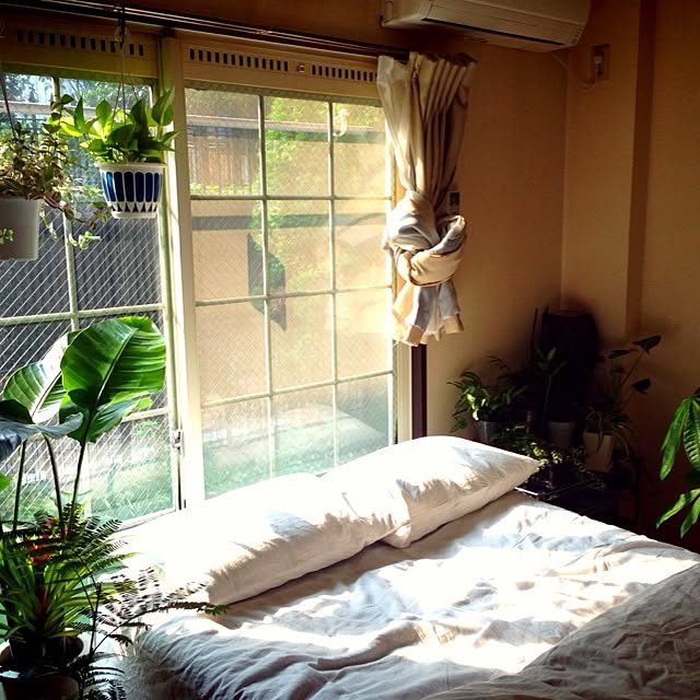 部屋全体/植物のインテリア実例 - 2013-08-14 00:43:00