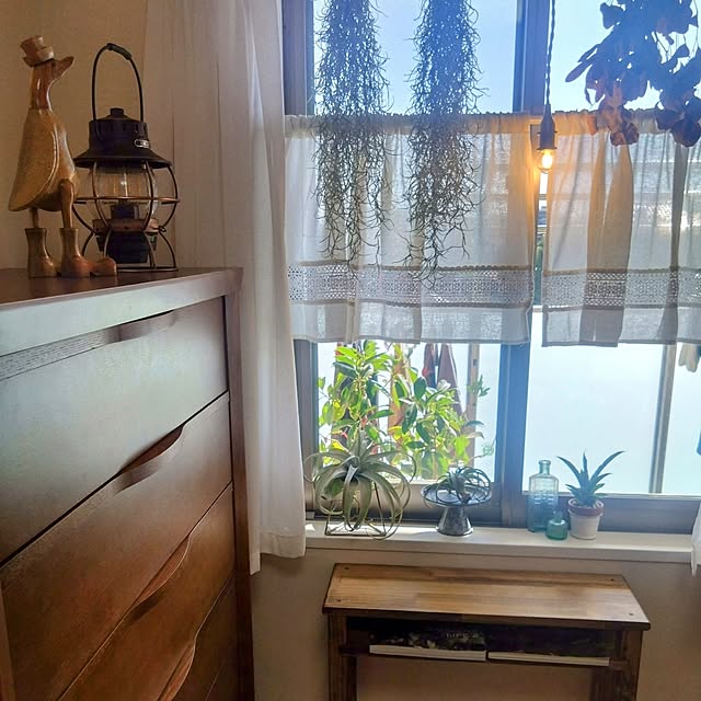 Petit_Pommierさんの部屋