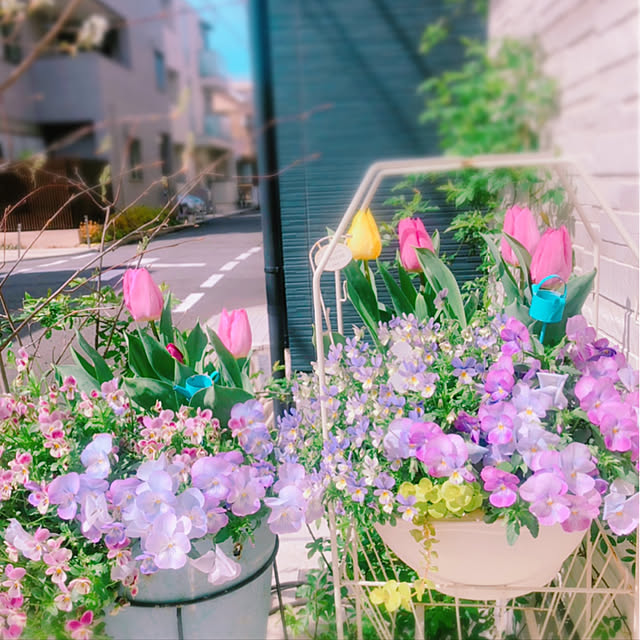 chisaさんの実例写真