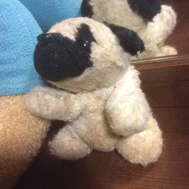 Tomokoさんの実例写真