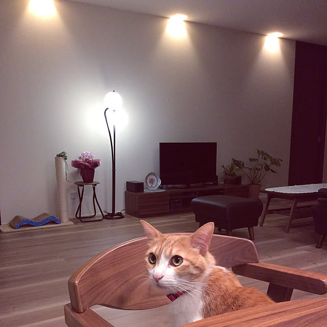 houenさんの実例写真