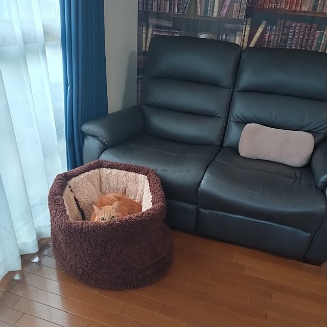 NOAHさんの実例写真