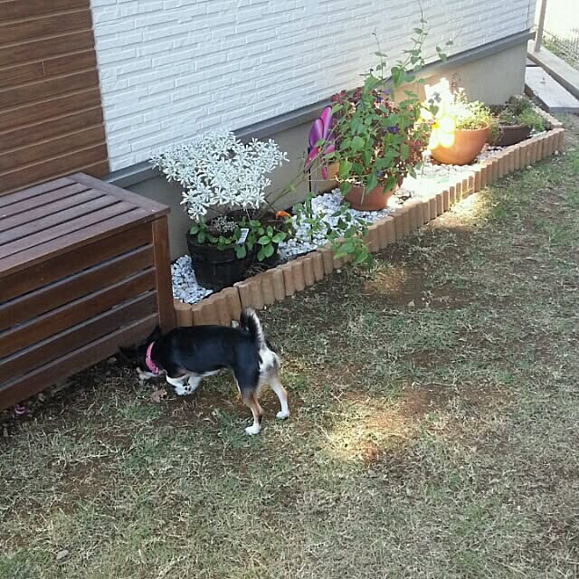 rponさんの実例写真
