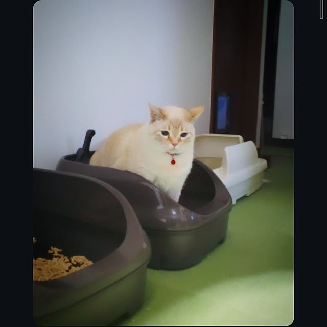 mntcさんの部屋