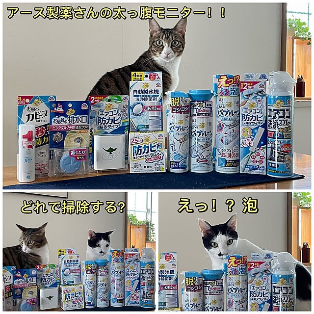 nobikoさんの実例写真