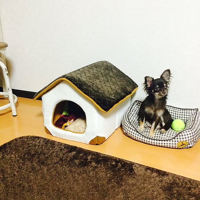 takaさんの実例写真