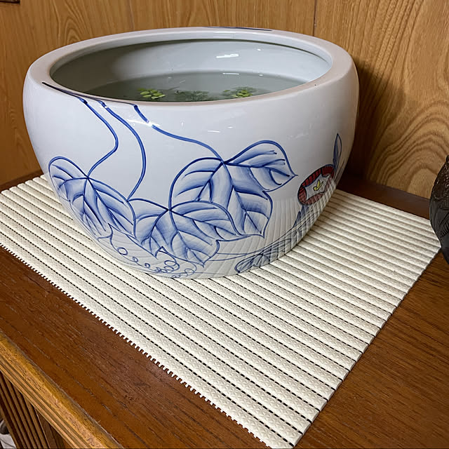 shin0719さんの実例写真