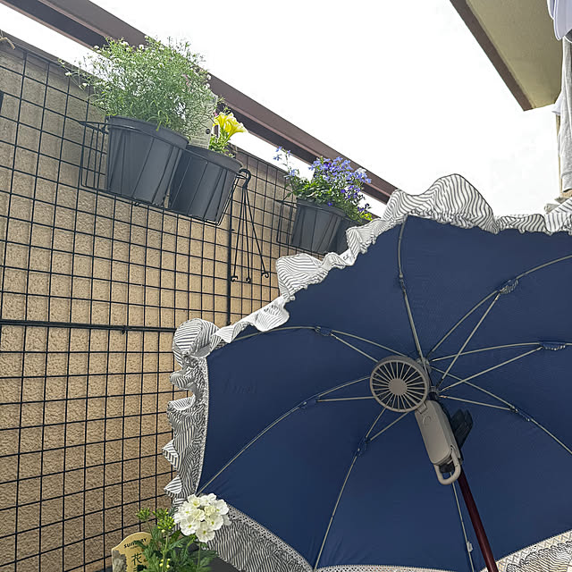 chulashihoさんの部屋