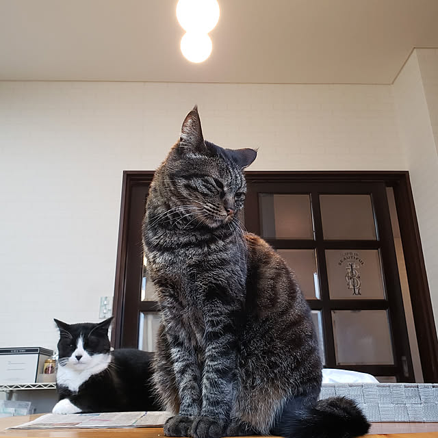 Mayumi8888さんの実例写真