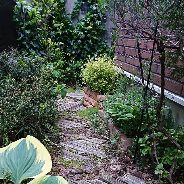 demetanさんの実例写真