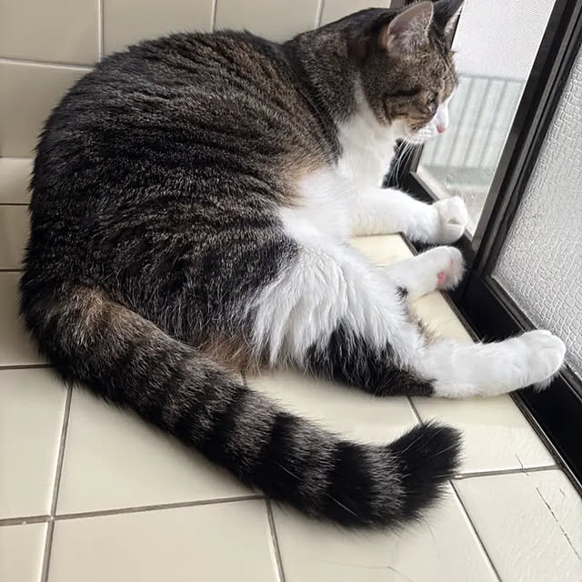 nanohanaさんの実例写真