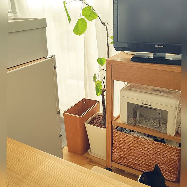hihaさんの実例写真