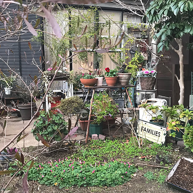 bibianさんの実例写真