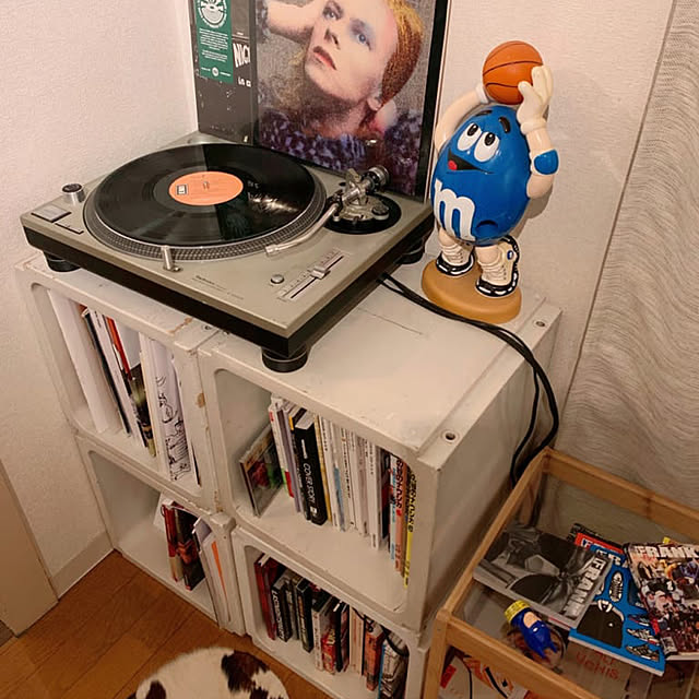 Rioさんの実例写真