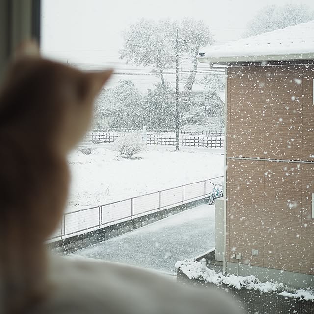 Chamさんの実例写真