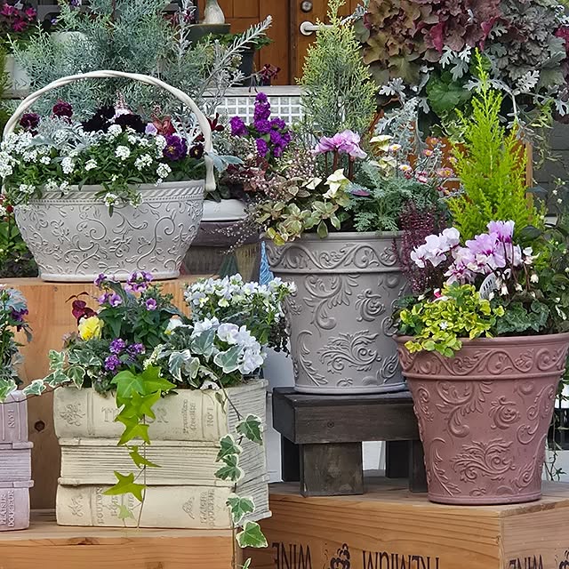 nonbiri_house_さんの部屋