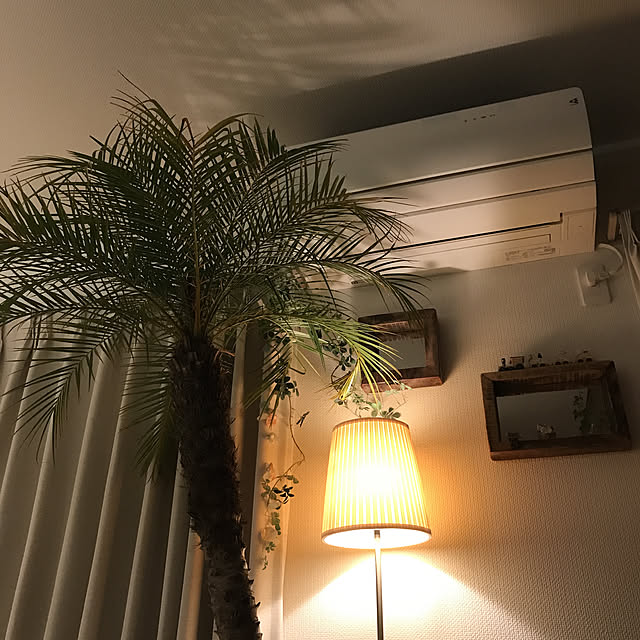 satominさんの実例写真