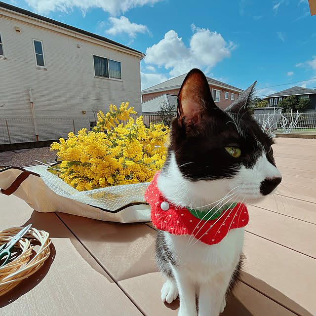 moolさんの部屋