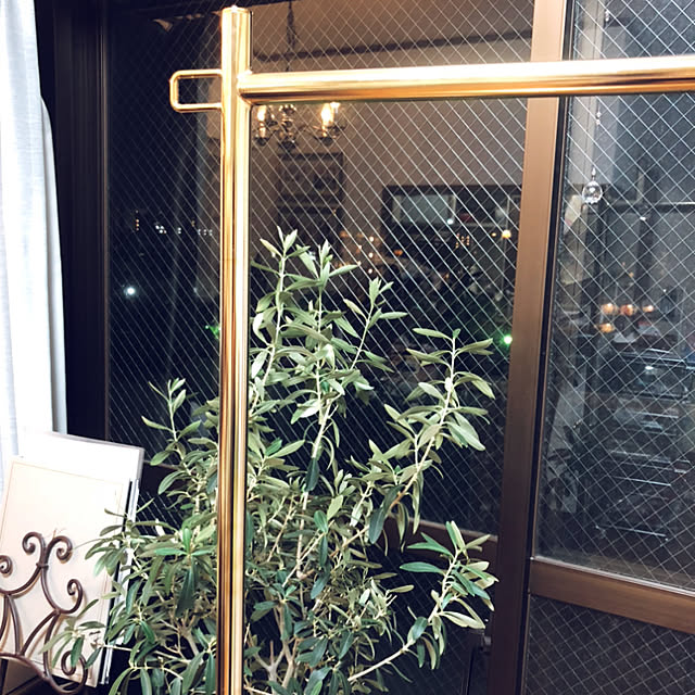 aoshimaさんの実例写真