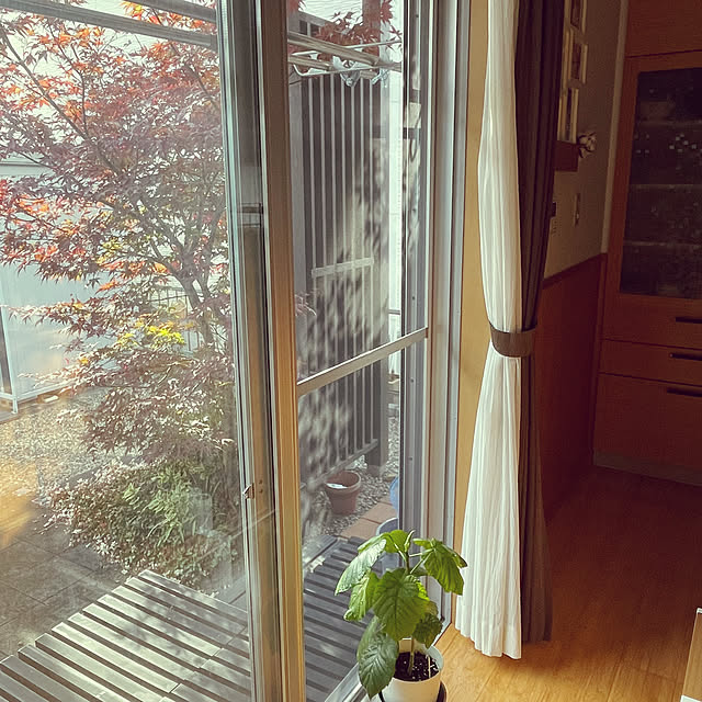 wakaba223さんの部屋